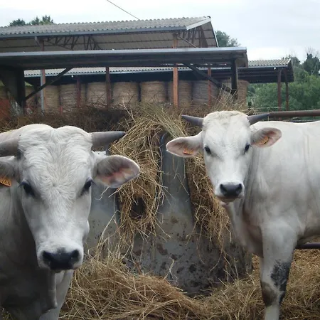 Borgo San Faustino Country Relais And Orvieto